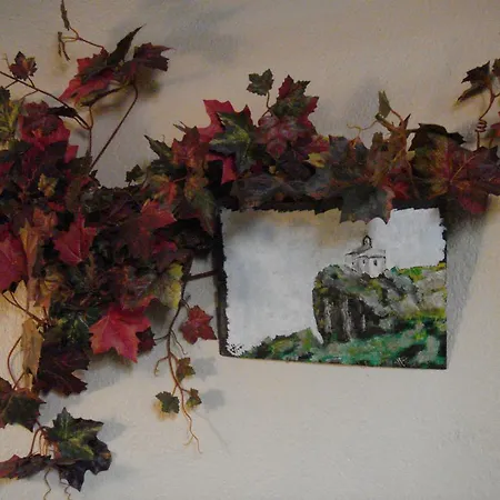 La Maison De Justine Affittacamere Murat (Cantal)